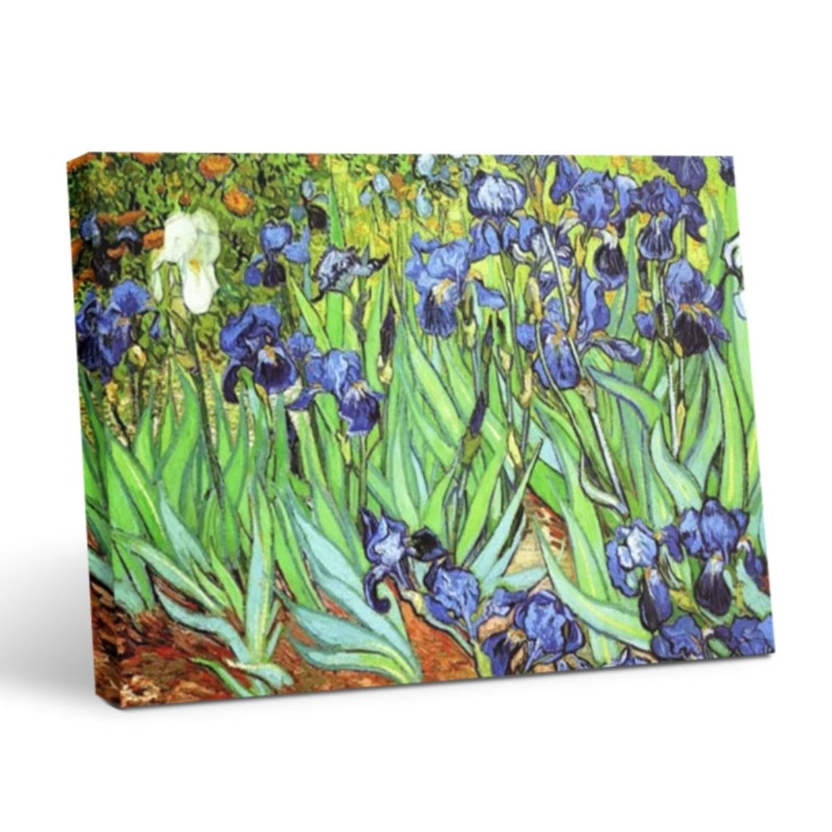 Iris II- Decorazioni con Stampe d'Arte Floreale per il Soggiorno